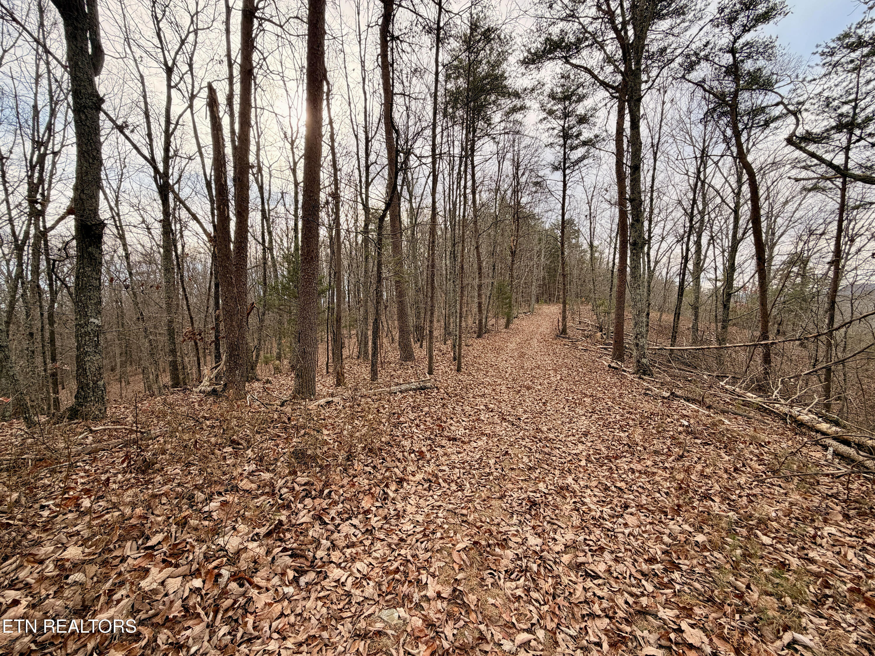 Laurel Bluff Road Kingston TN 37763