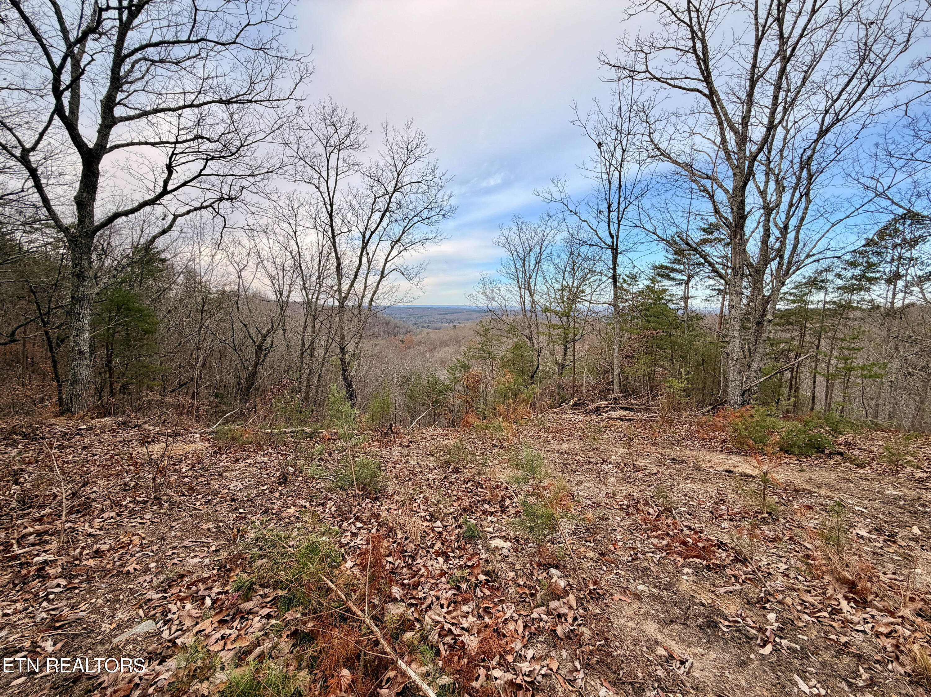 Laurel Bluff Road Kingston TN 37763