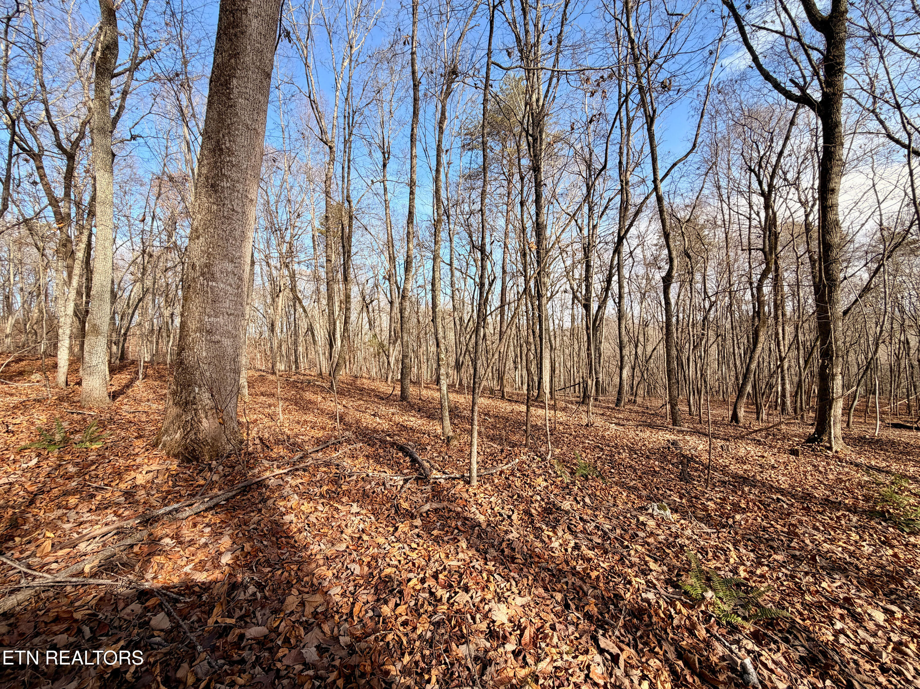 Laurel Bluff Road Kingston TN 37763