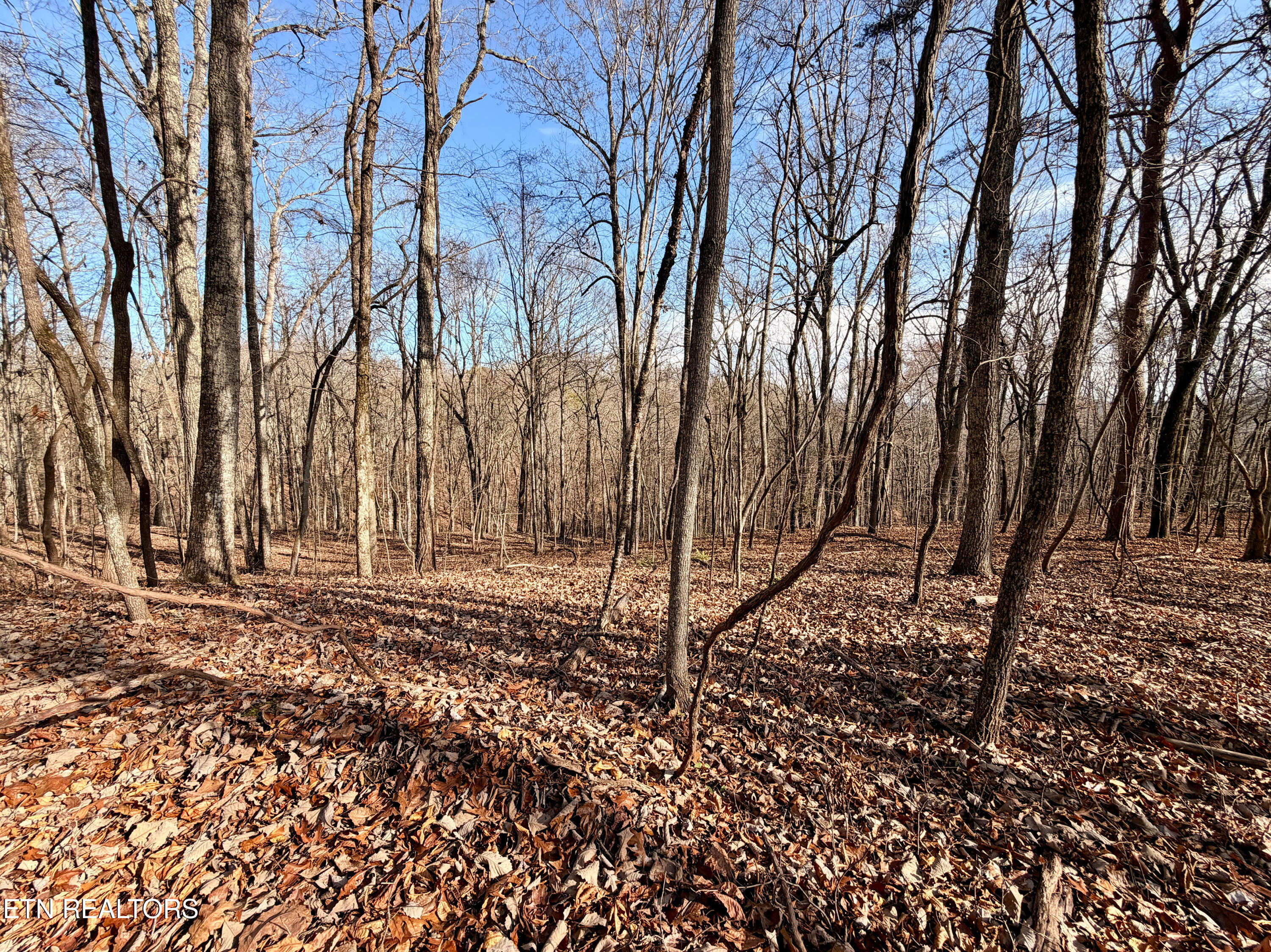 Laurel Bluff Road Kingston TN 37763