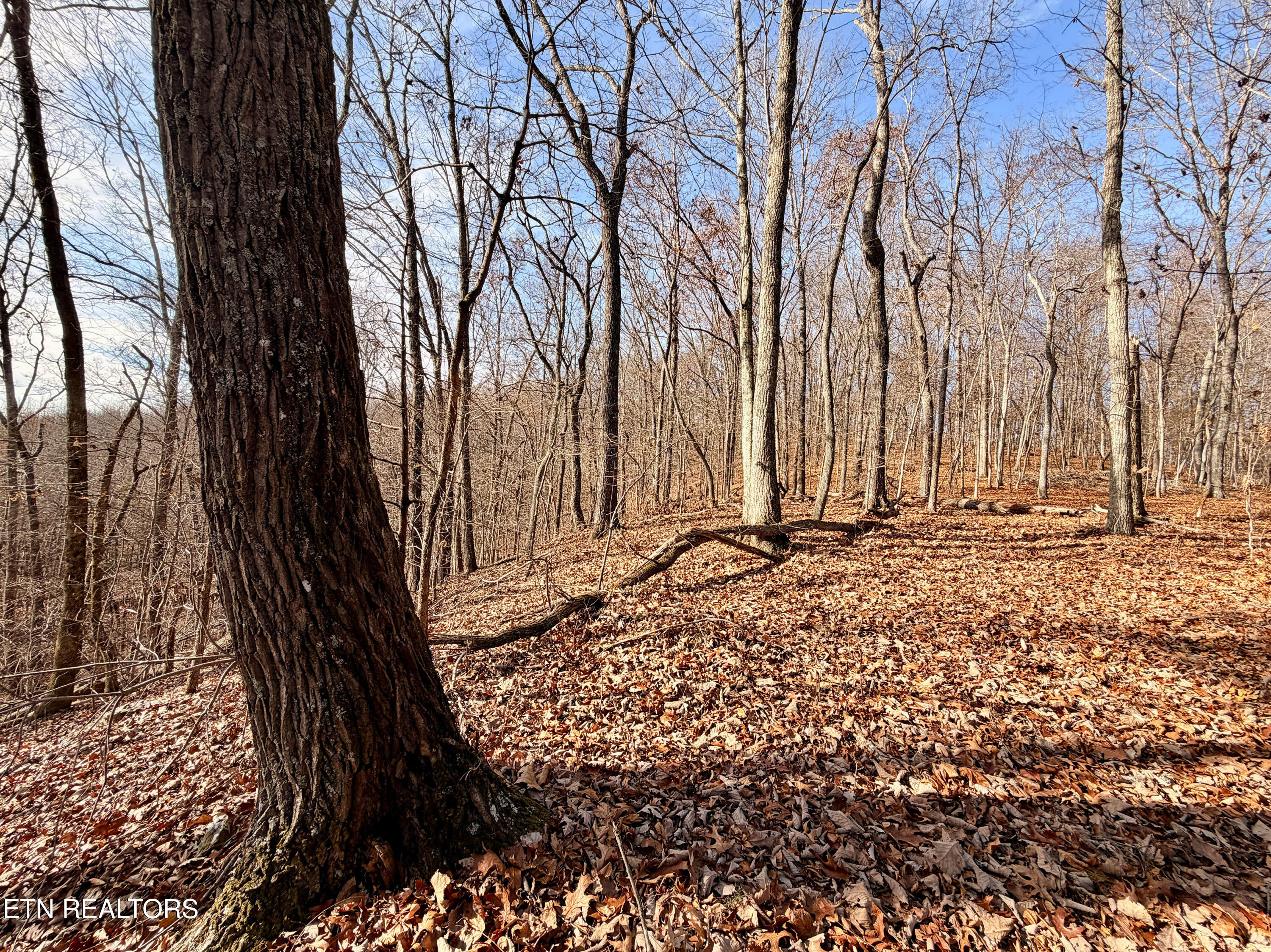 Laurel Bluff Road Kingston TN 37763