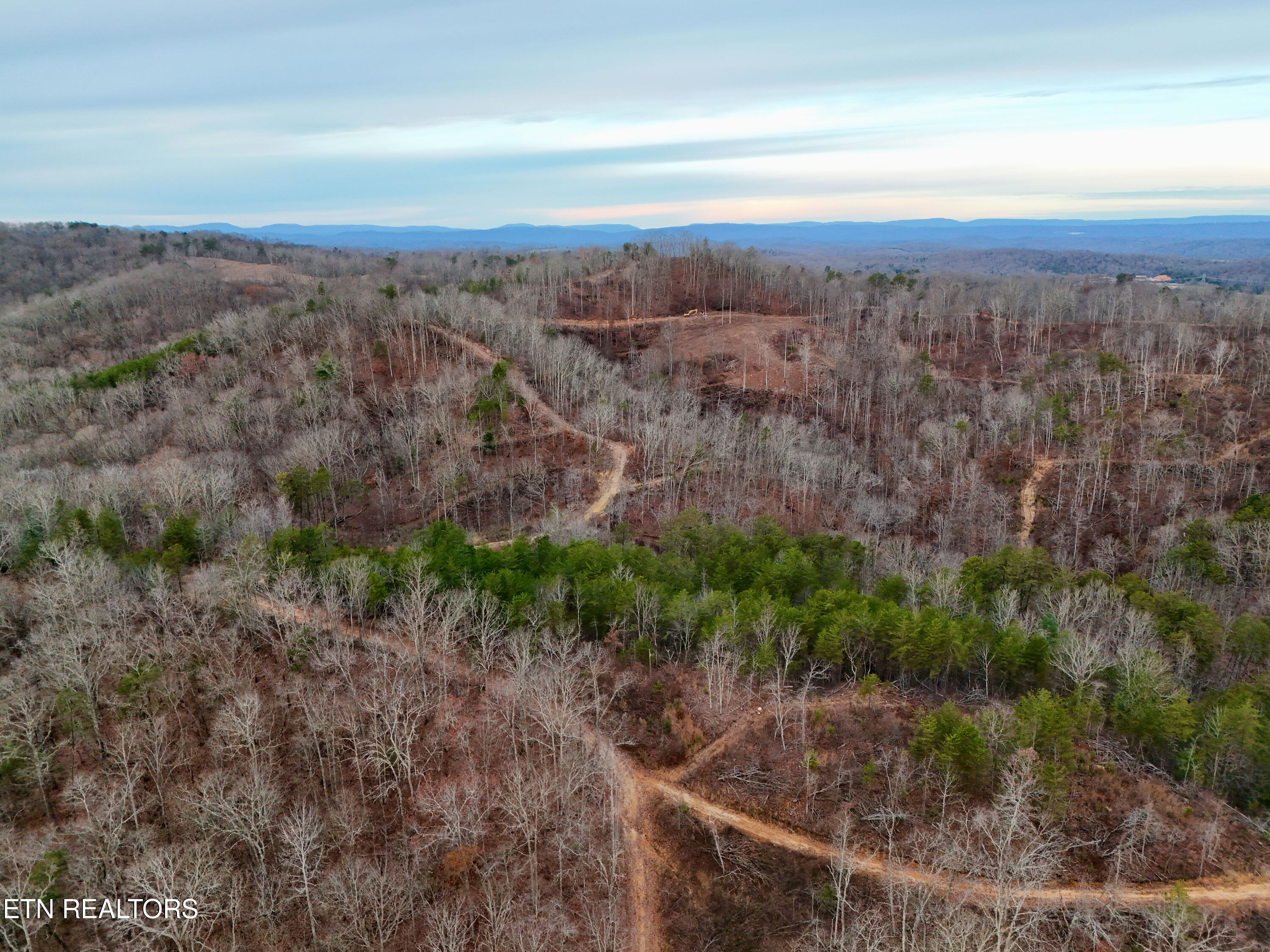 Laurel Bluff Road Kingston TN 37763
