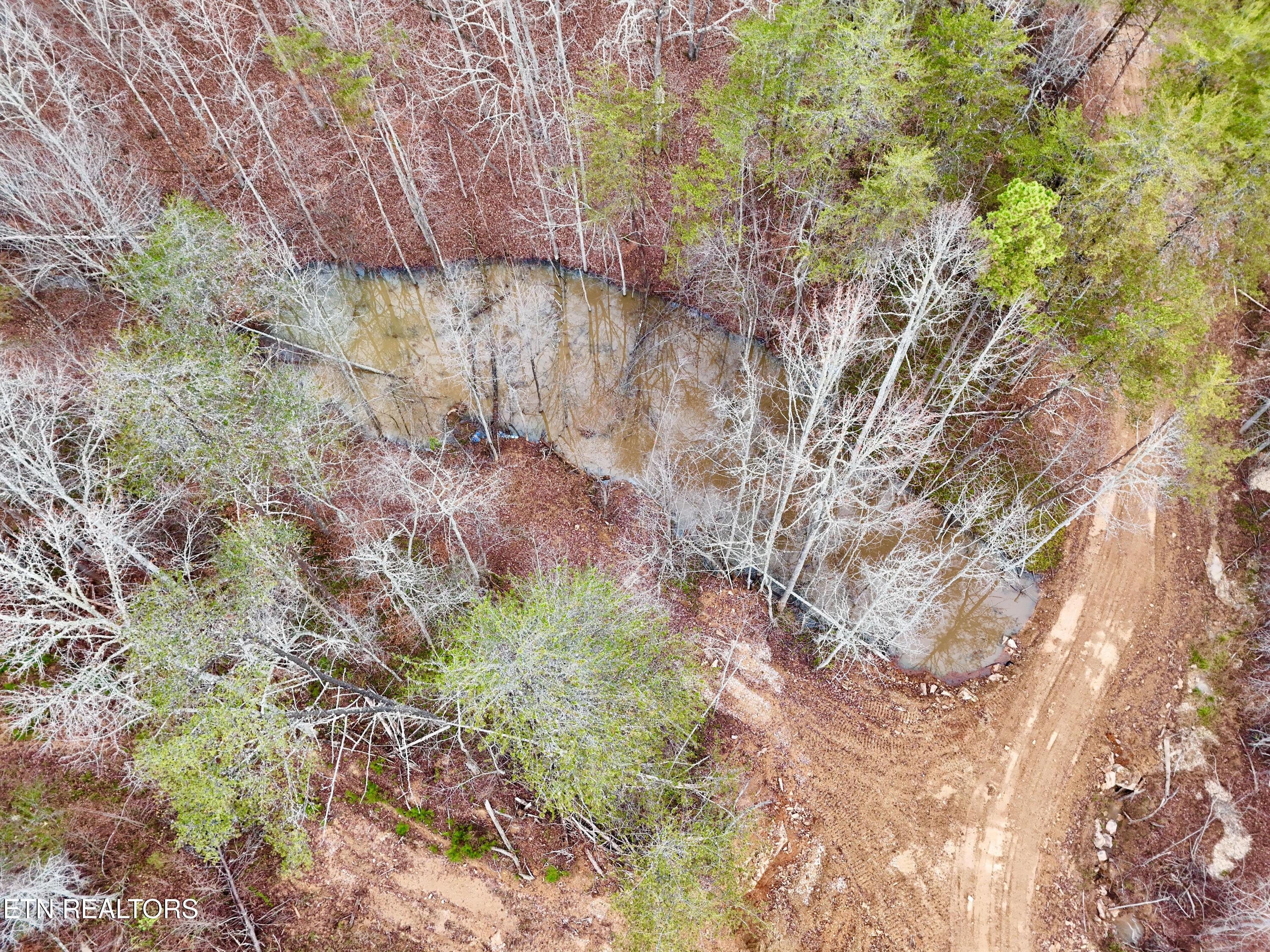 Laurel Bluff Road Kingston TN 37763
