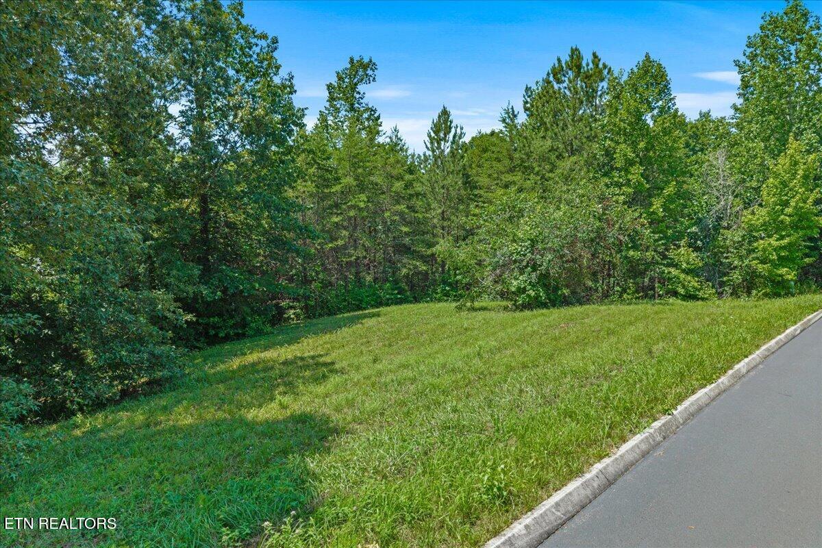 Lot 16 Copper Still Way Madisonville TN 37354