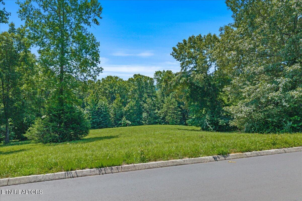 Lot 16 Copper Still Way Madisonville TN 37354