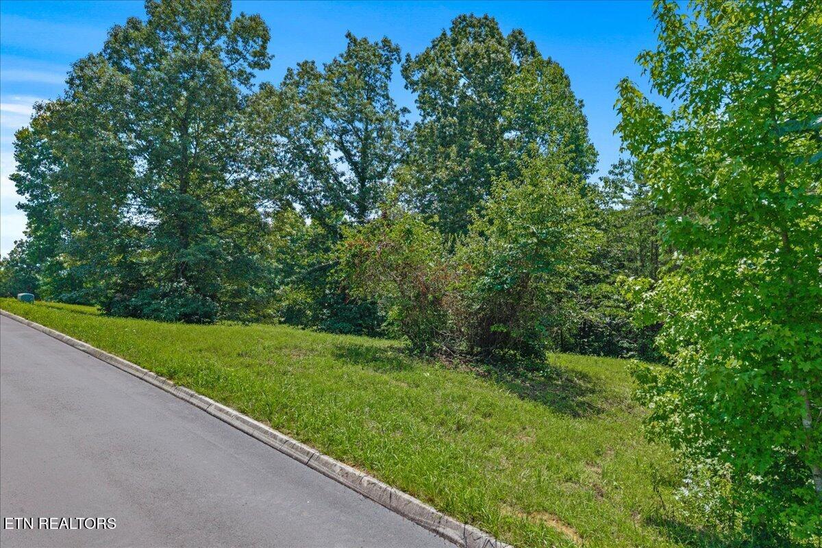 Lot 16 Copper Still Way Madisonville TN 37354