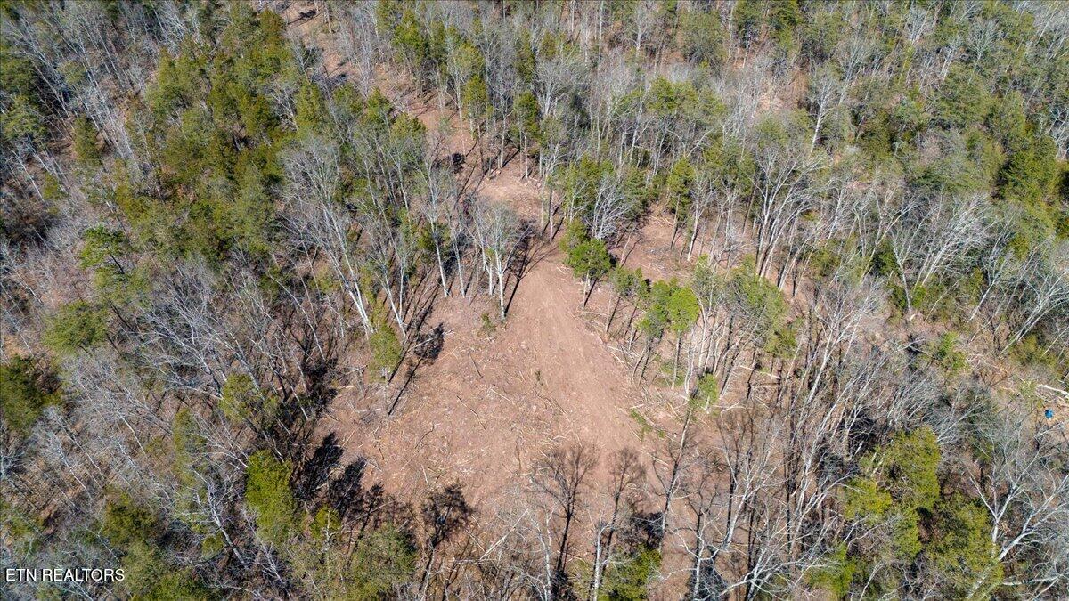 Wolfenbarger Tract 1 Luttrell TN 37779