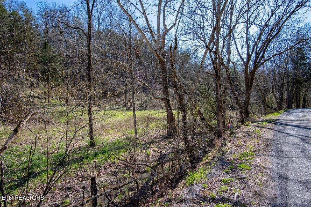 Wolfenbarger Tract 1 Luttrell TN 37779