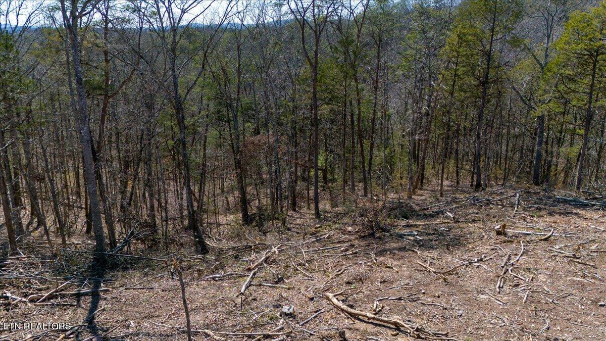 Wolfenbarger Tract 1 Luttrell TN 37779