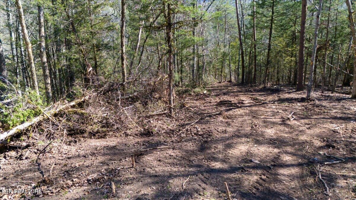 Wolfenbarger Tract 1 Luttrell TN 37779