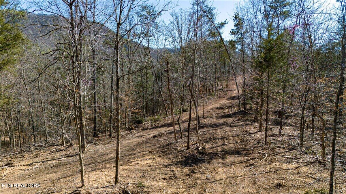 Wolfenbarger Tract 1 Luttrell TN 37779