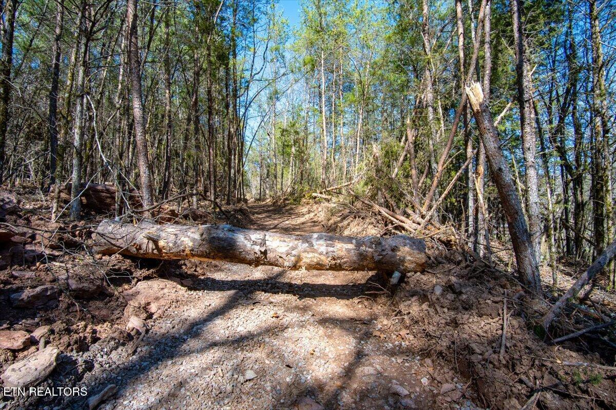Wolfenbarger Tract 1 Luttrell TN 37779