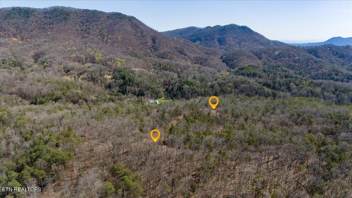 Wolfenbarger Tract 1 Luttrell TN 37779