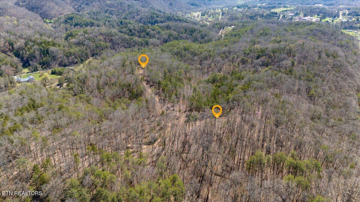Wolfenbarger Tract 1 Luttrell TN 37779