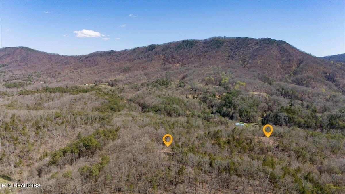 Wolfenbarger Tract 1 Luttrell TN 37779