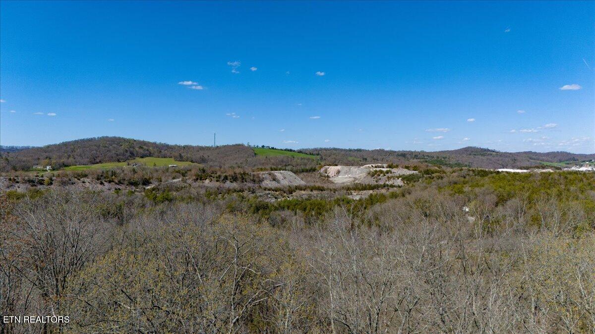 Wolfenbarger Tract 1 Luttrell TN 37779