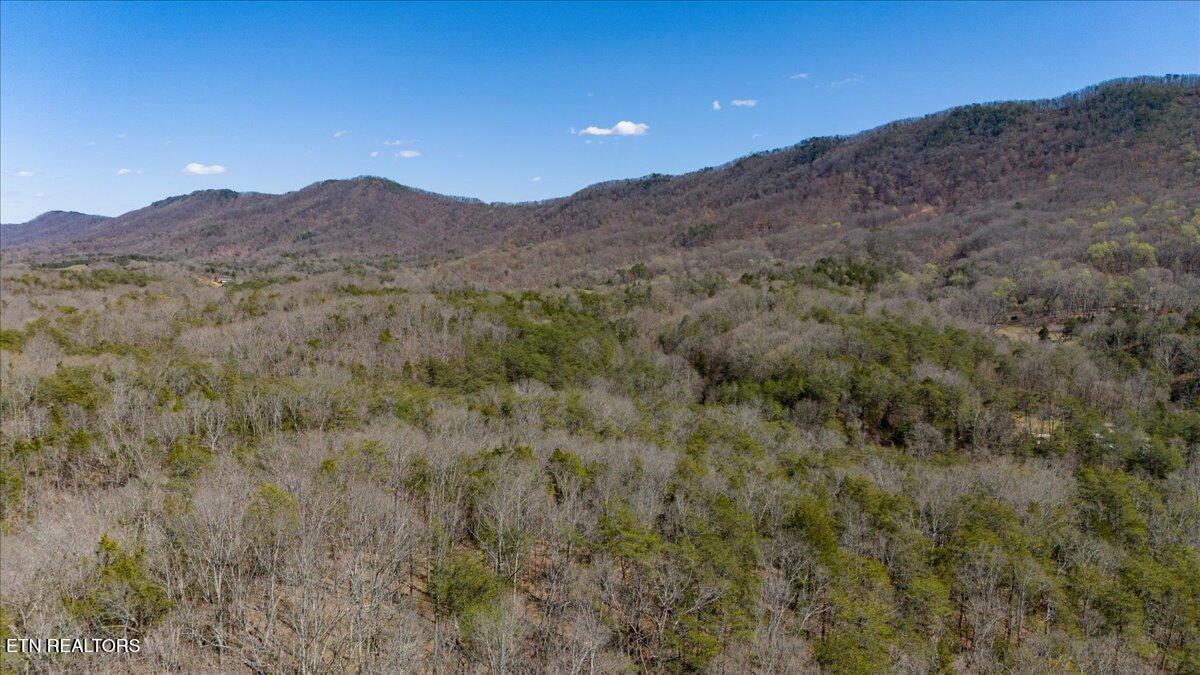 Wolfenbarger Tract 1 Luttrell TN 37779