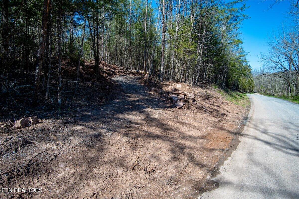 Wolfenbarger Tract 1 Luttrell TN 37779