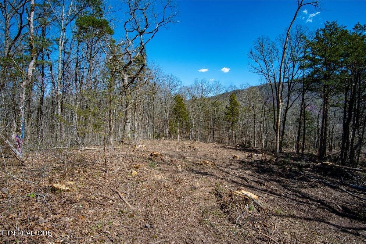 Wolfenbarger Tract 1 Luttrell TN 37779