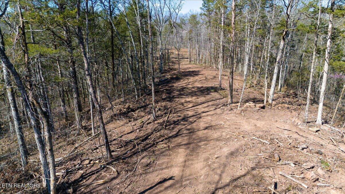 Wolfenbarger Tract 1 Luttrell TN 37779