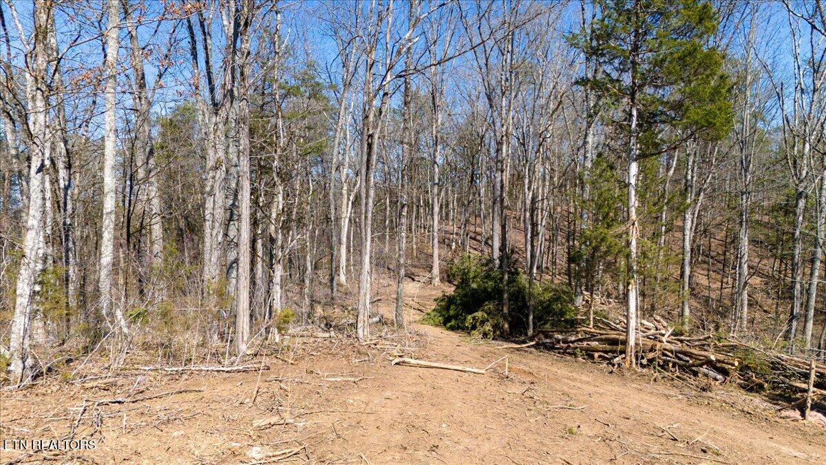 Wolfenbarger Tract 1 Luttrell TN 37779