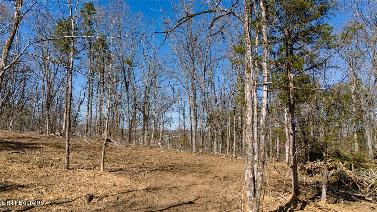Wolfenbarger Tract 1 Luttrell TN 37779