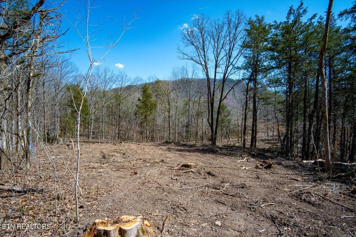 Wolfenbarger Tract 1 Luttrell TN 37779