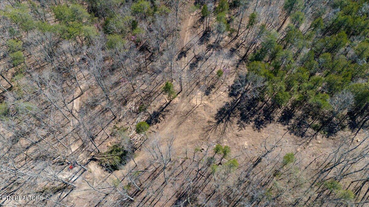 Wolfenbarger Tract 1 Luttrell TN 37779