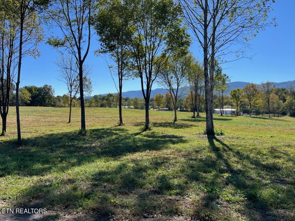 Stone Mill Lot 1 Road Jacksboro TN 37757