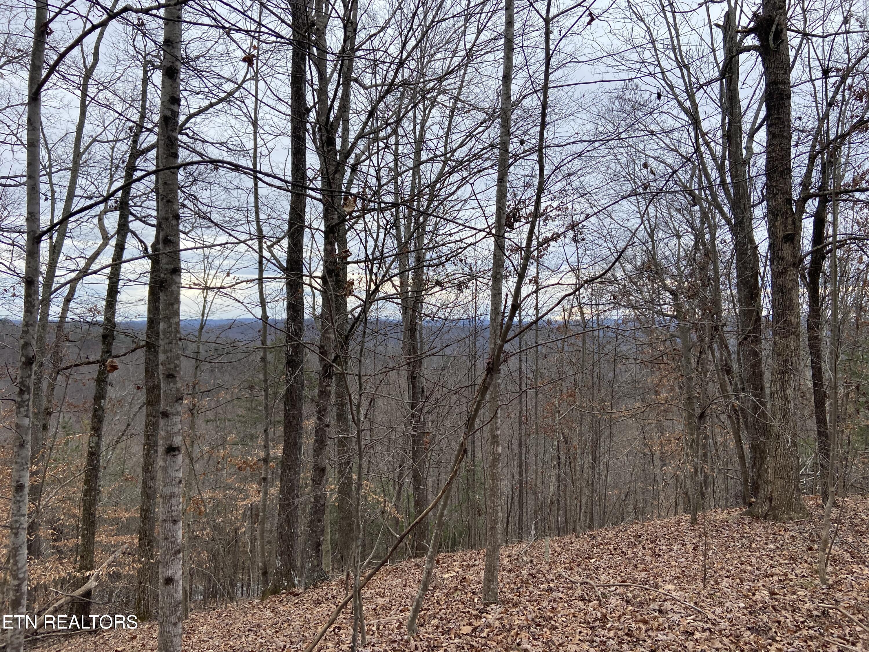 Timber Creek Road New Tazewell TN 37825