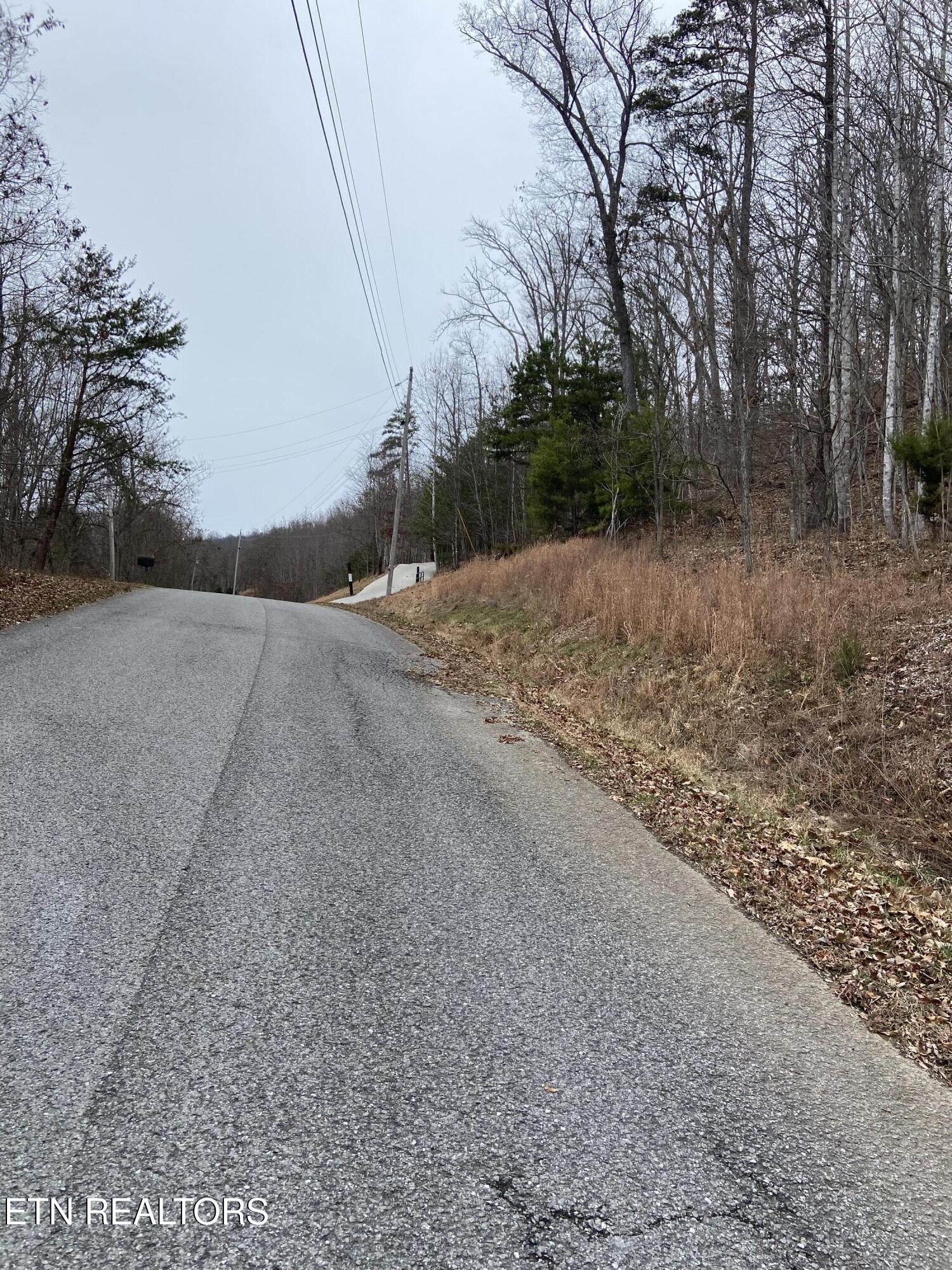 Timber Creek Road New Tazewell TN 37825