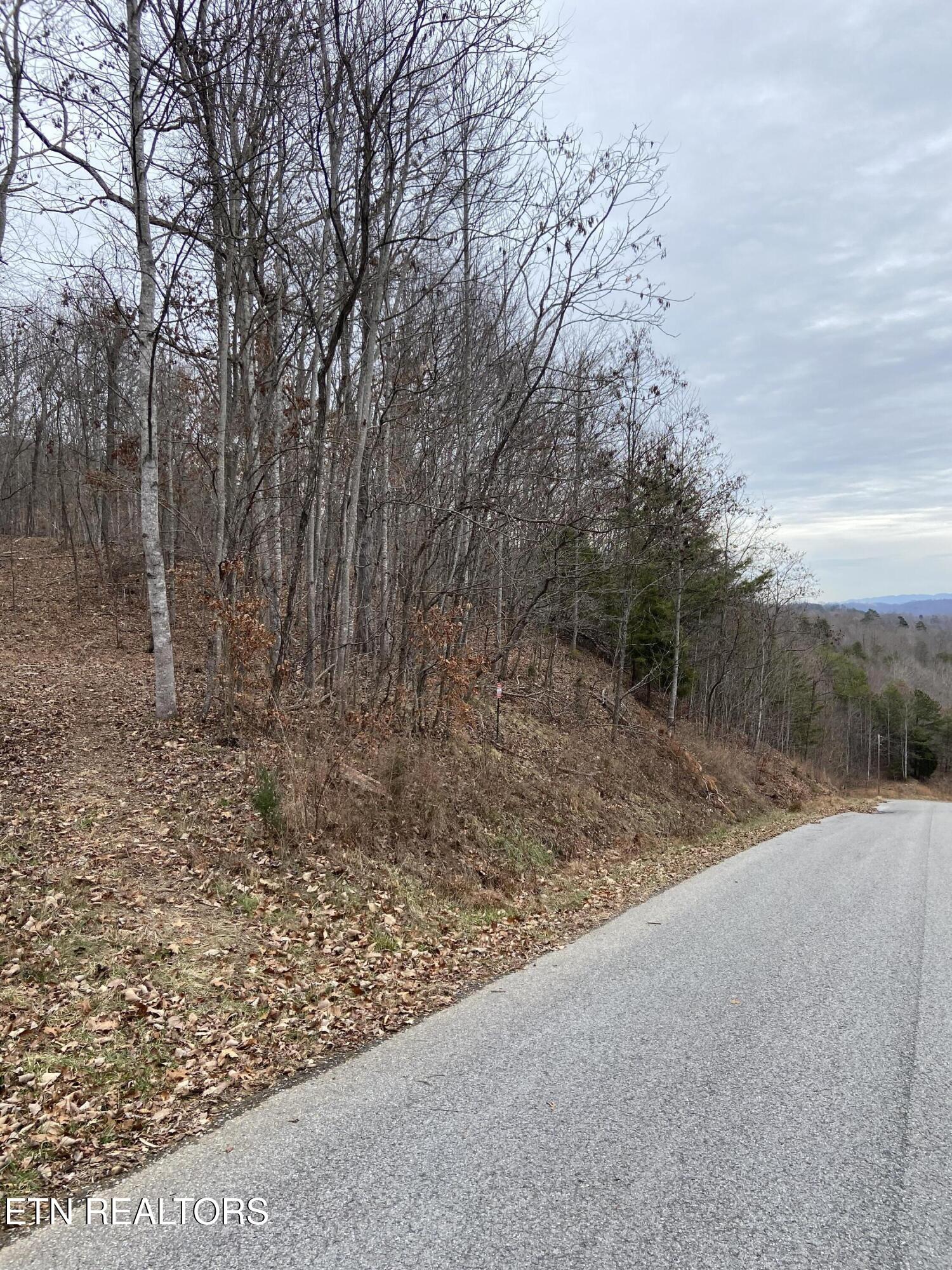 Timber Creek Road New Tazewell TN 37825