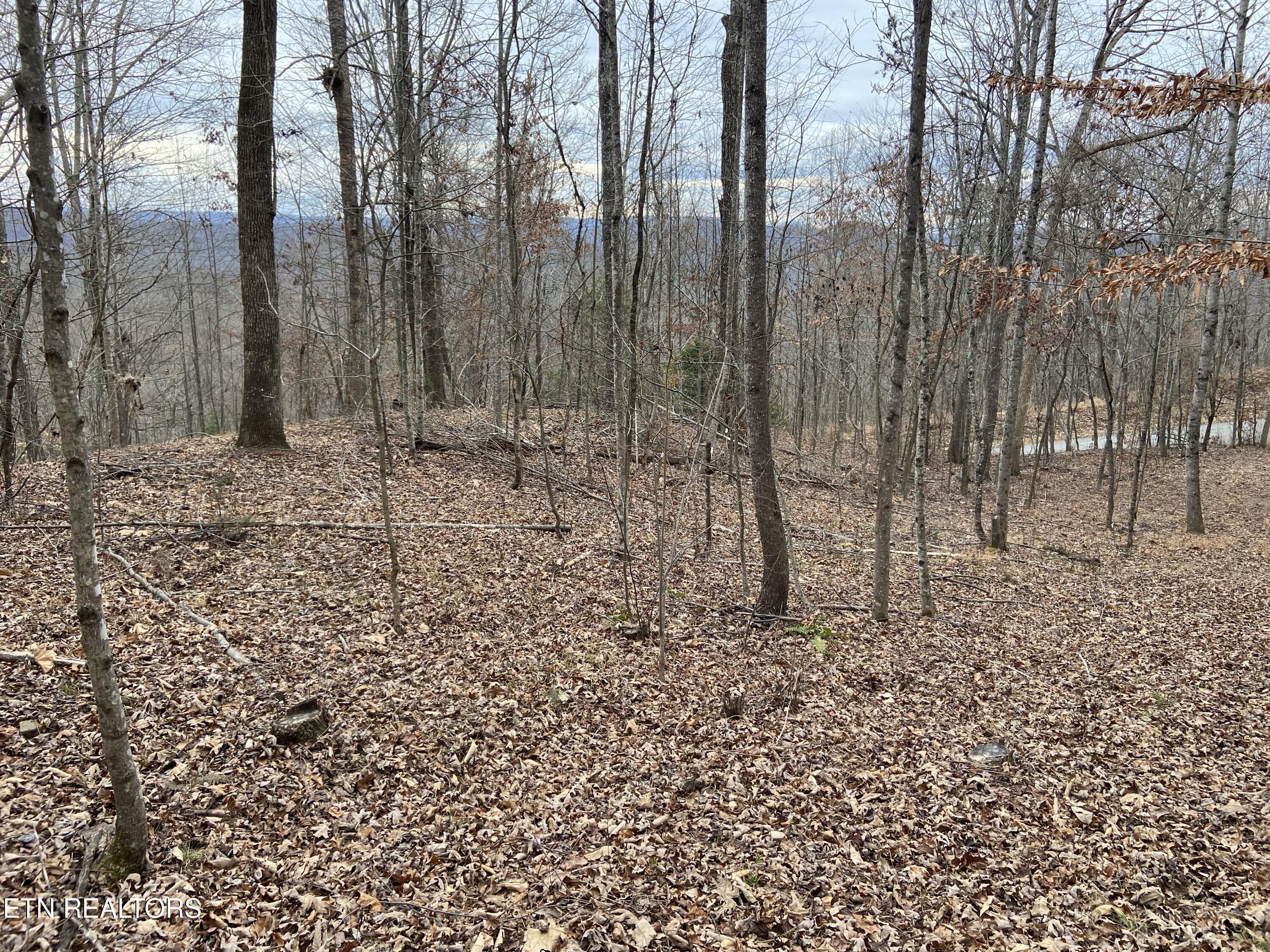 Timber Creek Road New Tazewell TN 37825