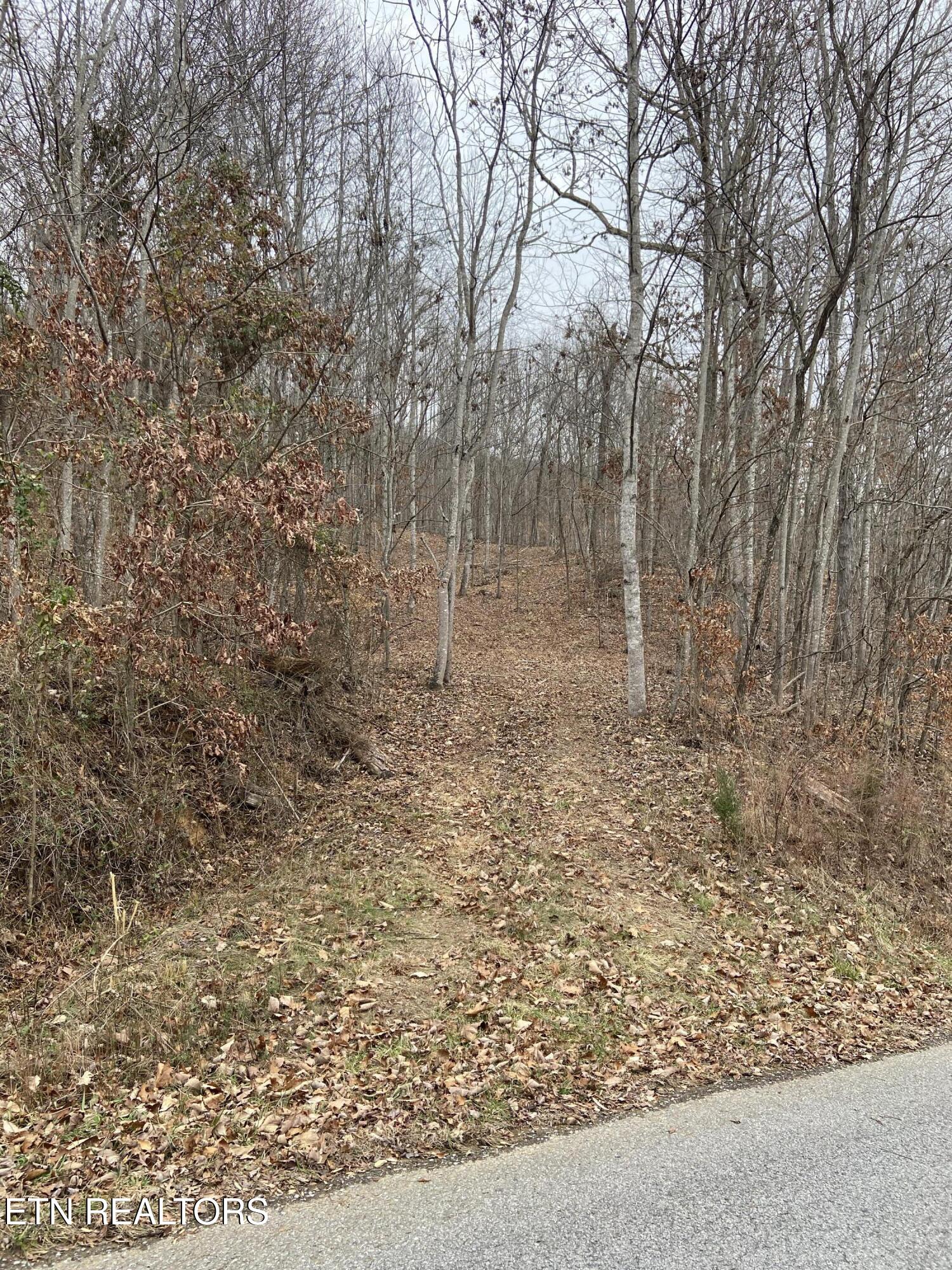 Timber Creek Road New Tazewell TN 37825