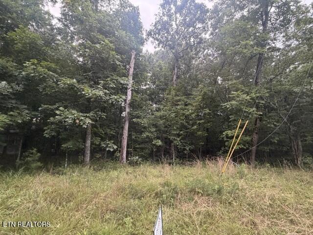 3333 Warpath Drive Crossville TN 38572