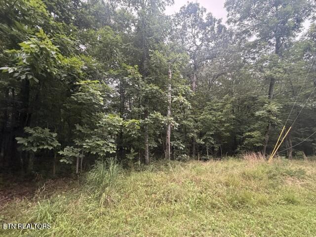3333 Warpath Drive Crossville TN 38572