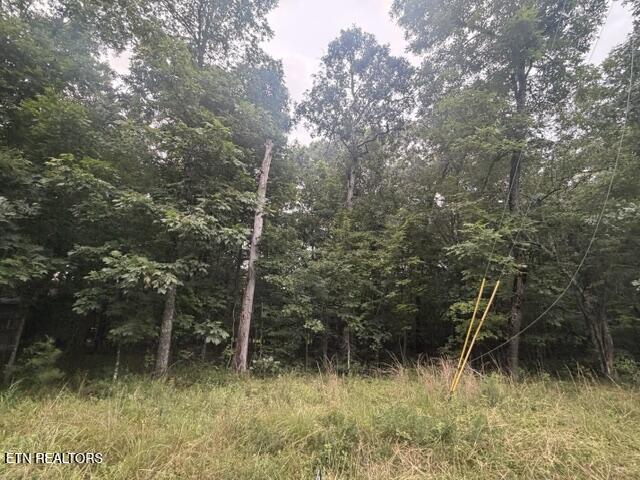 3333 Warpath Drive Crossville TN 38572