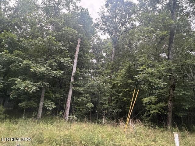 3333 Warpath Drive Crossville TN 38572