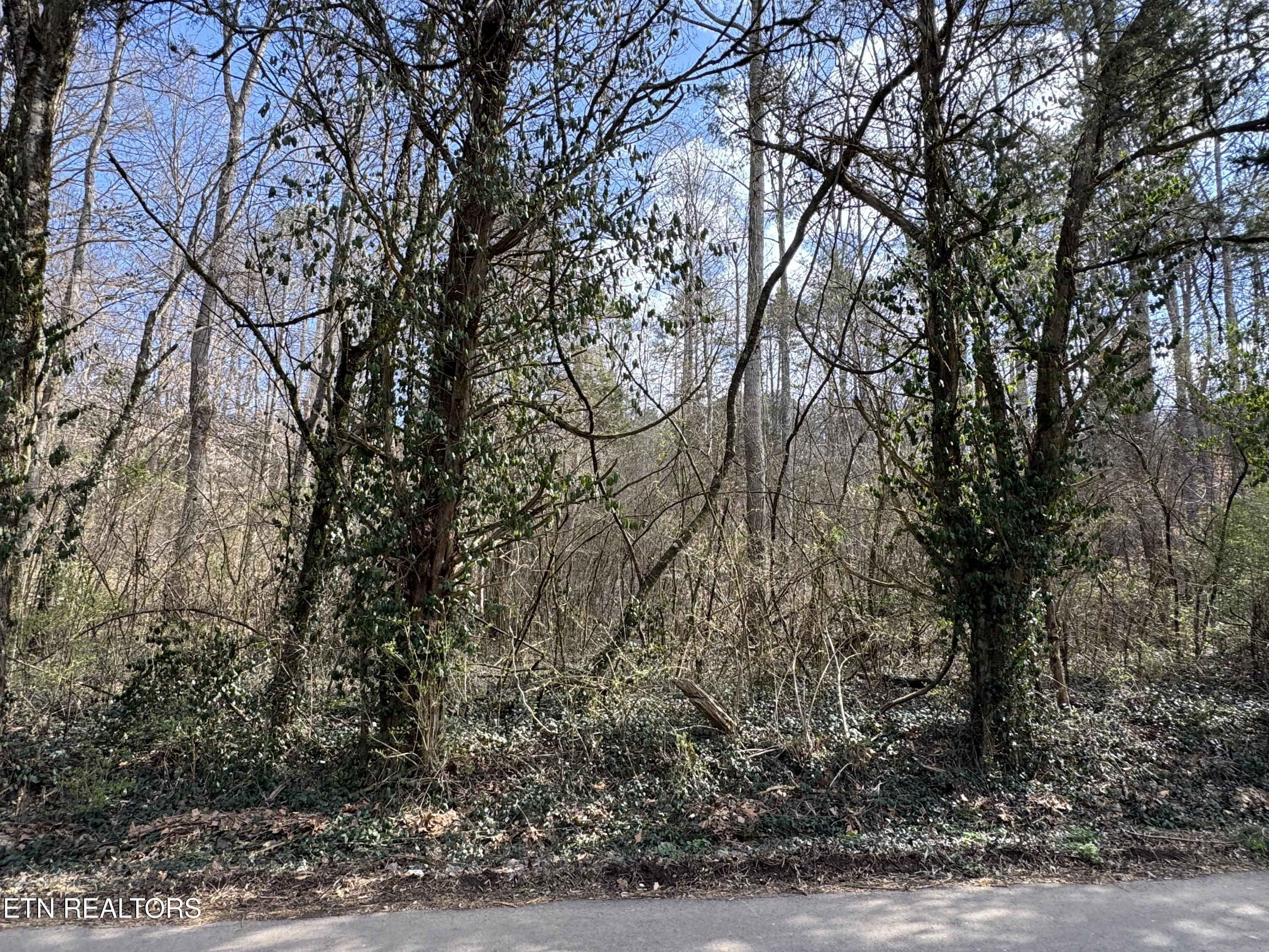 918 Mccubbins Road Strawberry Plains TN 37871