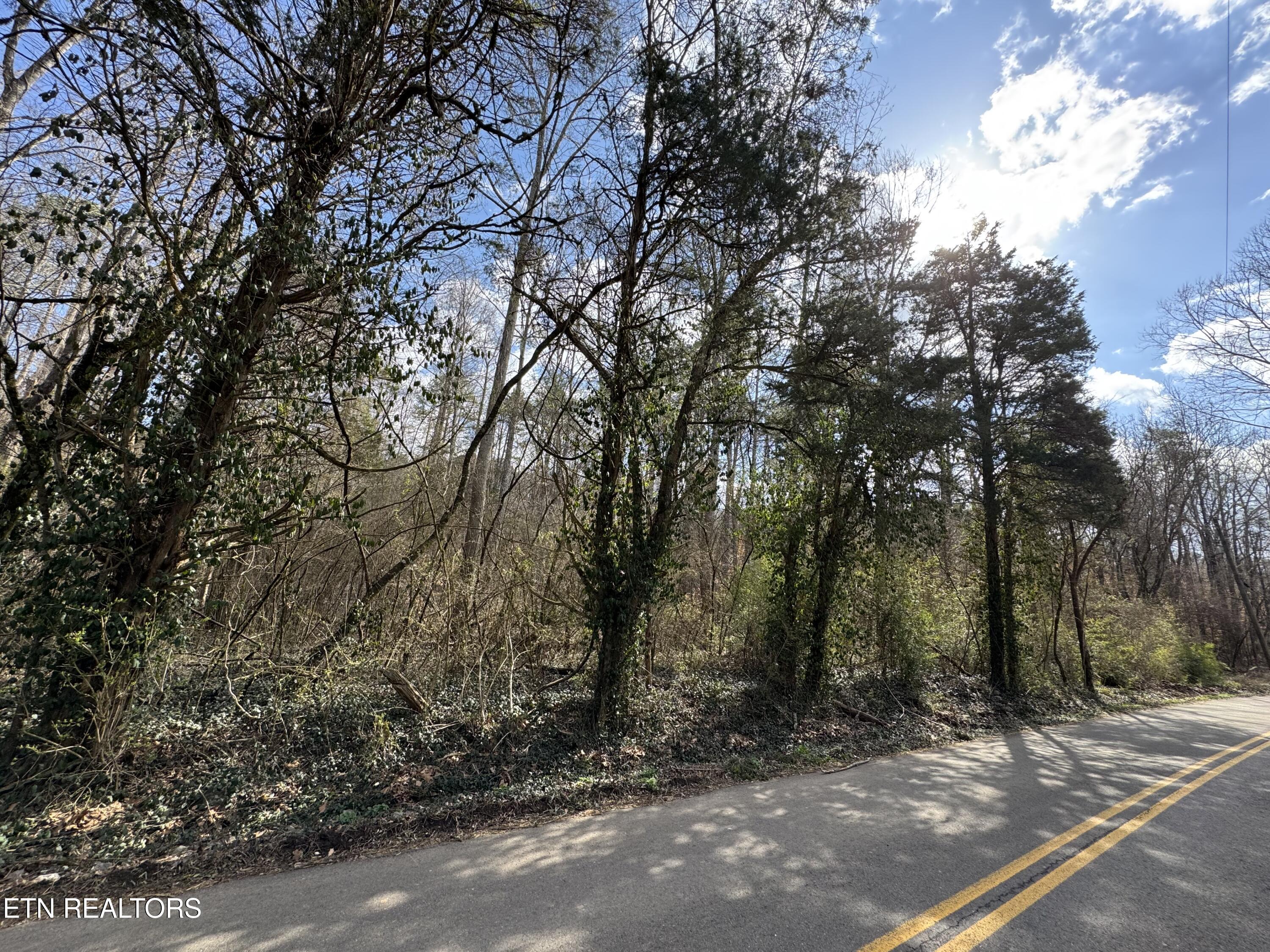 918 Mccubbins Road Strawberry Plains TN 37871