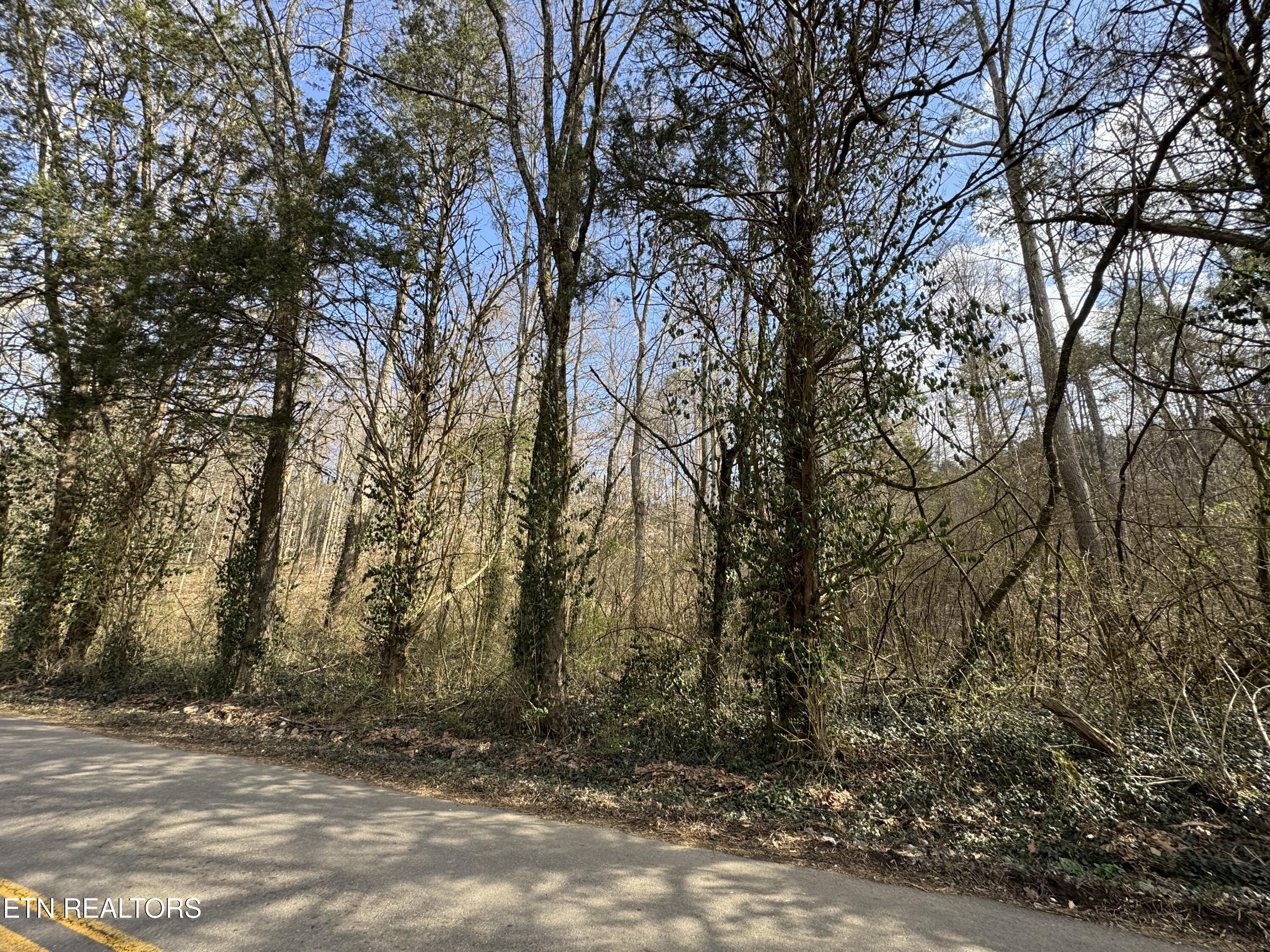 918 Mccubbins Road Strawberry Plains TN 37871