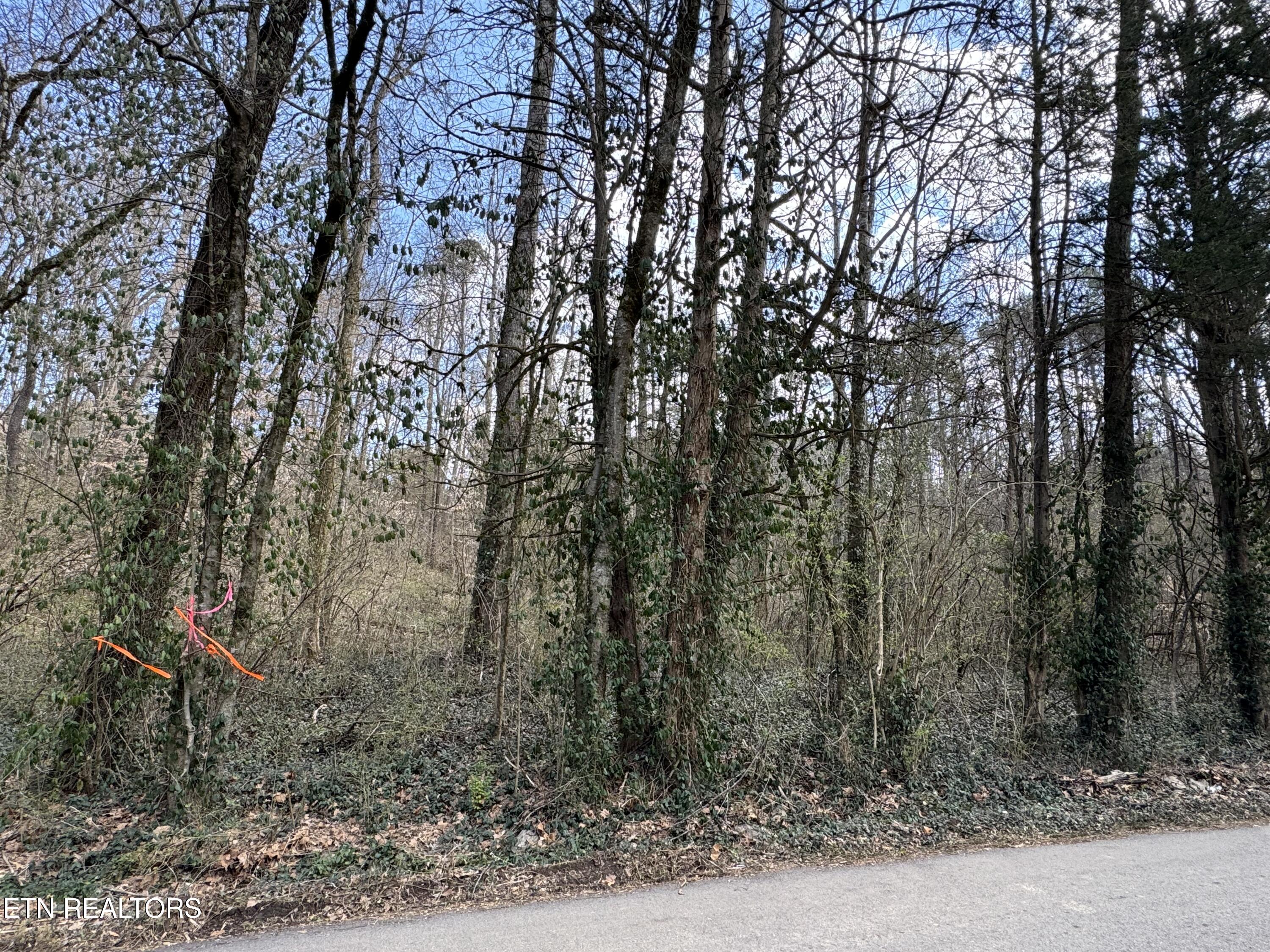 918 Mccubbins Road Strawberry Plains TN 37871