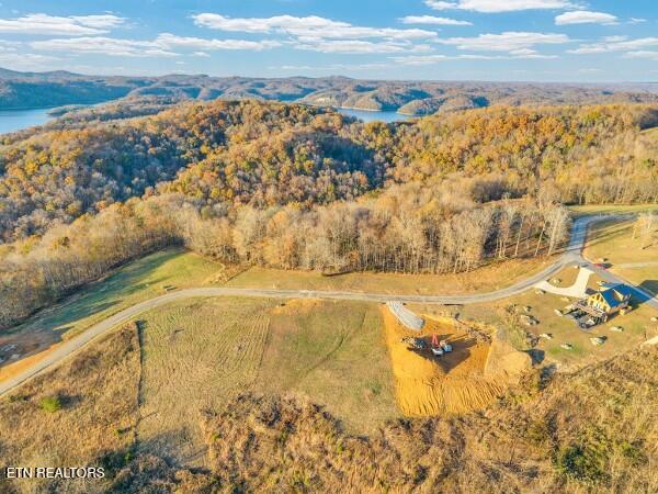0 Bald Eagle Road Hilham TN 38568