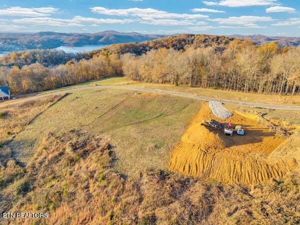 0 Bald Eagle Road Hilham TN 38568