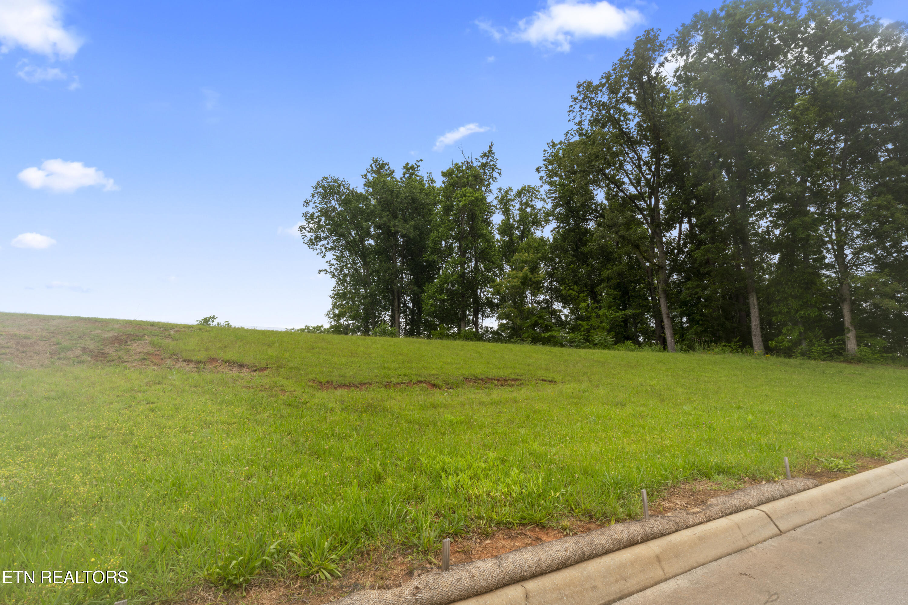 1157 Houston Springs Road Greenback TN 37742