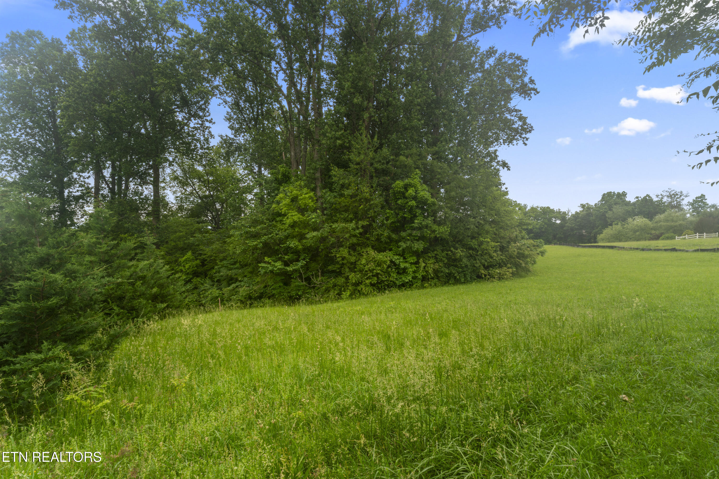1157 Houston Springs Road Greenback TN 37742