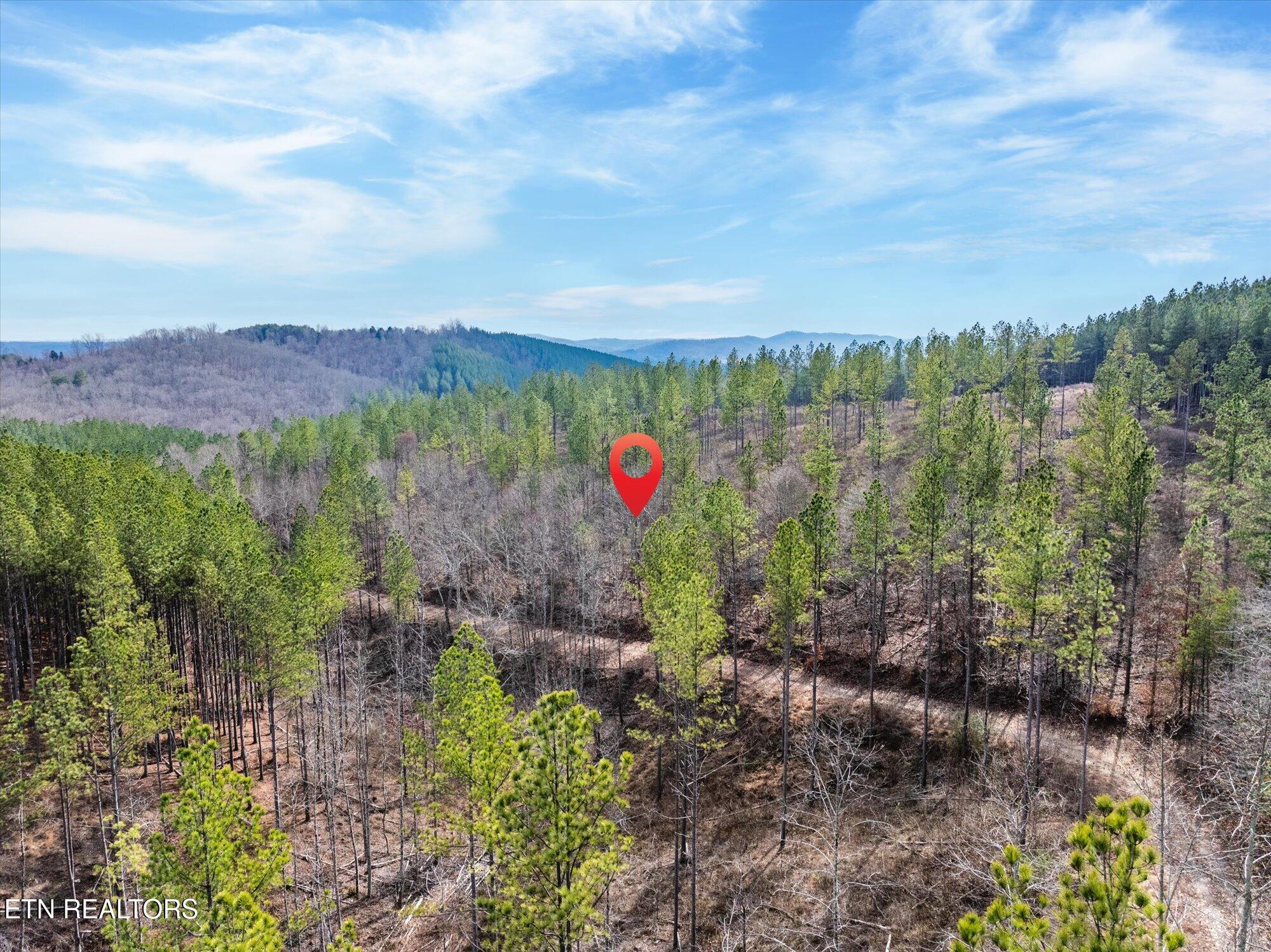 0 Prigmore Ridge Road Decatur TN 37322