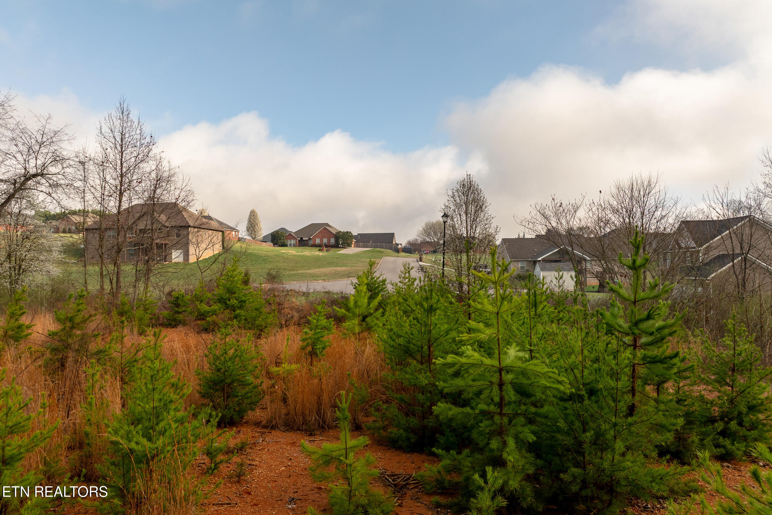 141 Tristan Court Lenoir City TN 37772