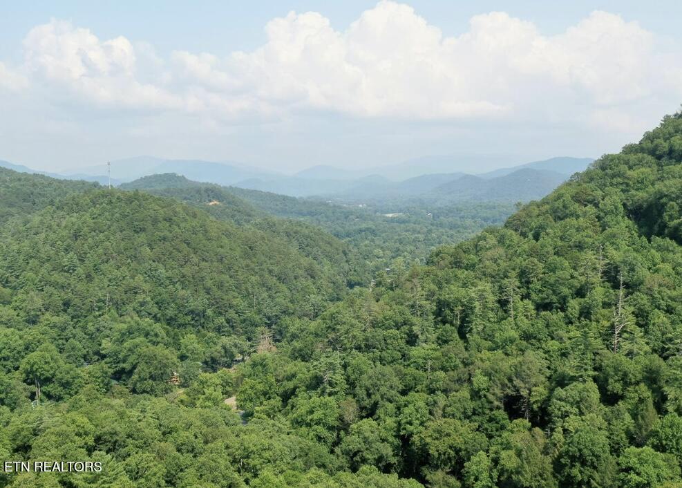 165 Anatole Pass Townsend TN 37882