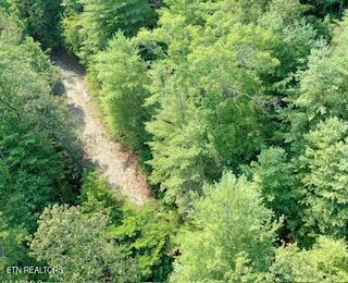 165 Anatole Pass Townsend TN 37882